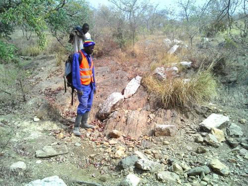Cameroun: Reservoir Minerals identifie 30 km de minéralisation aurifère à Bibemi