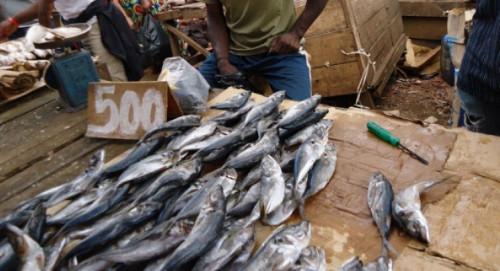 Le gouvernement camerounais rassure sur la disponibilité du riz et du poisson dans les marchés