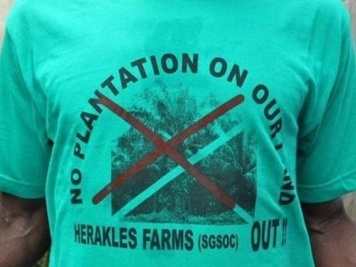 Herakles Farm suspend ses opérations suite aux injonctions du gouvernement camerounais