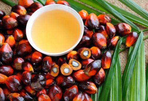 En 2017, le Cameroun importera 95 000 tonnes d’huile de palme et ses dérivés