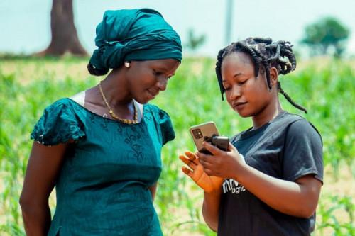 Le Cameroun veut primer les start-ups locales qui offrent les solutions numériques au profit du monde agricole