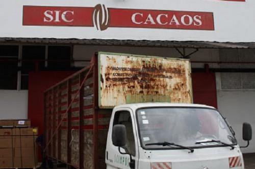 Sic Cacaos devient le 1er acheteur du cacao camerounais et contrôle près de 70% de l’activité locale de transformation