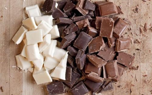 Séance de dégustation du chocolat made in Cameroon, au ministère de l’Agriculture