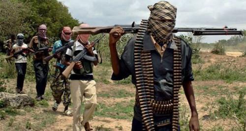 Des terroristes de Boko Haram délestent les bergers de la localité de Mozogo, dans l’Extrême-Nord du Cameroun, de 230 têtes de bœufs