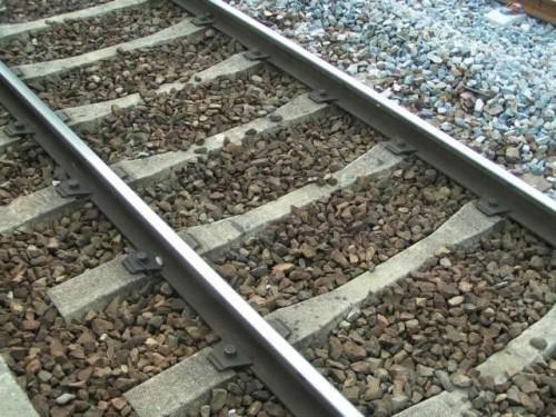 Bolloré veut financer la construction des chemins de fer Ngaoundéré-Ndjaména et Edéa-Kribi-Lolablé
