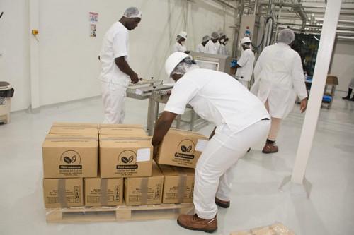 Pressé par la Cobac, le banquier SCB Cameroun veut démonter l’usine du transformateur de cacao Neo Industry