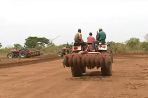 Les populations et l’agro-industriel Soproicam s’étripent autour d’une concession foncière de 2000 ha dans l’Adamaoua