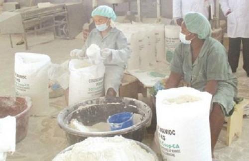 Farines locales : une plateforme des promoteurs voit le jour au Cameroun, dans un contexte d’explosion des coûts du blé