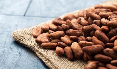 Le prix du cacao camerounais monte à 1080 FCFA le kilogramme, en dépit de la saison des pluies