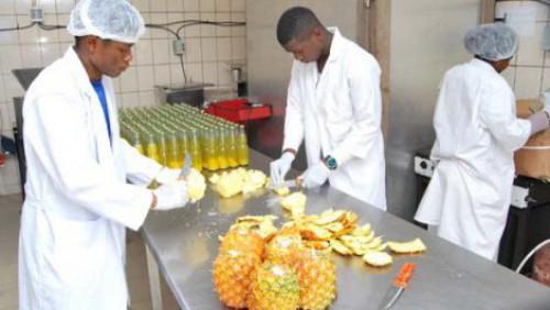 L’AFD a distribué 77 chèques-service aux PME agroalimentaires camerounaises pour accéder à des services non financiers