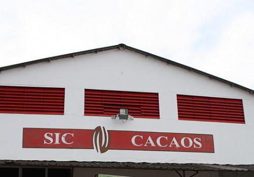 Cameroun : Sic-cacaos et Chococam ont broyé 25 370 tonnes de cacao à fin février 2015