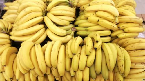 Le Cameroun a exporté 152 384 tonnes de banane à fin juillet 2016, en baisse de 5000 tonnes par rapport à 2015