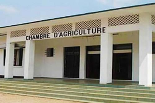 Un intérimaire à la tête de la Chambre d’agriculture du Cameroun, après les décès successifs de deux présidents