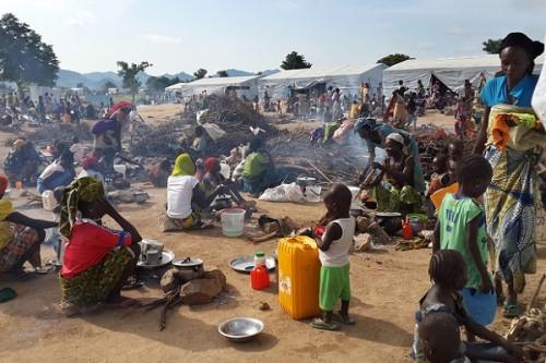 Au Cameroun, 300 000 personnes sont sorties de l’insécurité alimentaire entre mars et décembre 2021