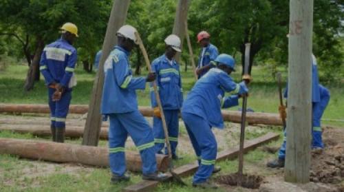 L’électricien camerounais Eneo devrait remplacer environ 10 000 poteaux électriques en bois, seulement dans la région du Centre