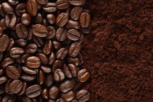 Le Cameroun inaugure une nouvelle usine de transformation du café dans la région du Nord-Ouest