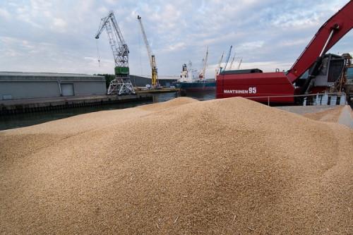 Le Cameroun a importé 860 000 tonnes de blé en 2020, de la Russie, du Canada, de la France et des USA