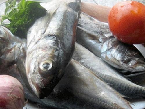 Les importations de poissons en baisse de  30 000 tonnes au Cameroun