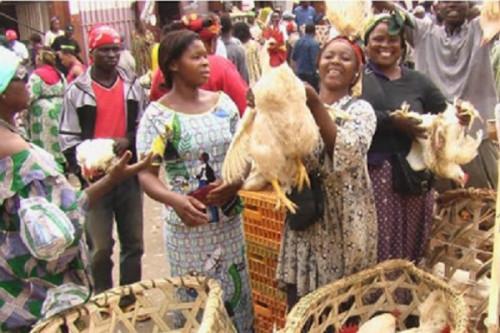 Le Coronavirus fait baisser les prix du poulet sur le marché camerounais