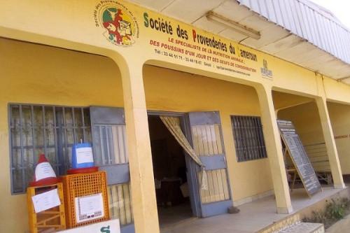 Aviculture : Société des provenderies du Cameroun va investir 5 milliards de FCFA pour son extension à Yaoundé et Obala