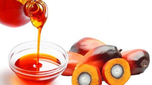 Le coronavirus booste les ventes d’huile de palme de l’agro-industriel Safacam, au premier semestre 2020