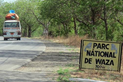 Tourisme : la réhabilitation du parc de Waza au cœur de discussions entre le Cameroun et les Pays-Bas