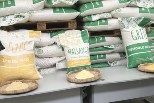 Maïs : la Compagnie fermière du Cameroun, filiale de Castel, fait chuter les importations de 64,4% en un an