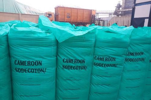 Le Cameroun affiche une production record de 357 000 tonnes de coton au cours de la campagne 2020-2021