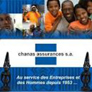 Cameroun : un nouveau Dg désigné chez Chanas Assurances, au terme d’un CA houleux