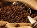 production-cafeiere-2021-2022-l-oncc-contredit-le-premier-ministre-dion-ngute