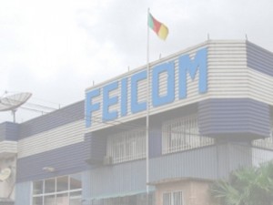 Le Feicom a distribué 63 milliards de FCfa aux communes camerounaises en 2013