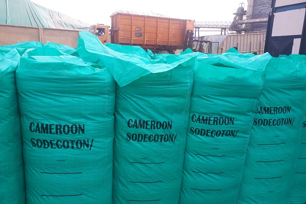 coton-en-fin-de-campagne-le-cameroun-devrait-peu-profiter-de-la-hausse-des-prix-annoncee-au-3e-trimestre-2022