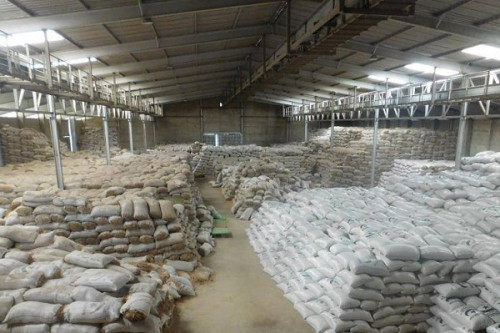 La Semry répond à la dénonciation selon laquelle 160 000 tonnes de riz moisissent dans ses entrepôts à Yagoua et Maga