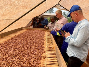 au-cameroun-l-ue-prend-des-mesures-pour-contrer-l-entree-du-cacao-issu-de-la-deforestation-sur-son-marche