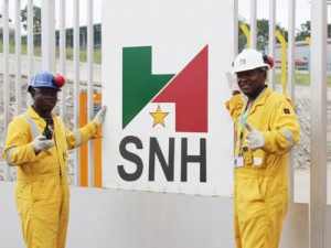 Le Cameroun a vendu du pétrole brut pour 625,6 milliards de FCfa en 2015, selon la SNH