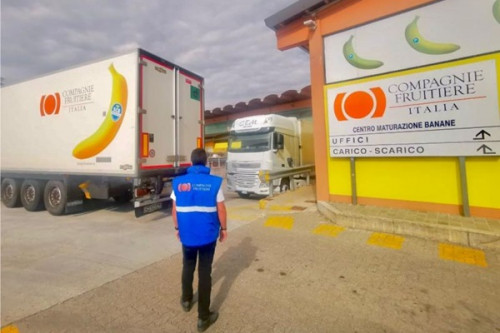 Bananes : le Français Compagnie fruitière renforce son empreinte au Cameroun avec le lancement d’une 2e filiale