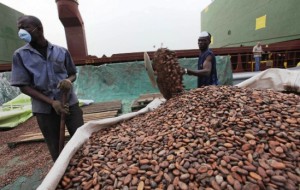 Cameroun : la coopération allemande finance la formation de 18 000 producteurs de cacao-café