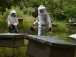 apiculture-la-region-de-l-adamaoua-assure-70-de-la-production-de-miel-du-cameroun
