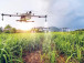 production-de-sucre-la-sosucam-recrute-des-sous-traitants-pour-l-epandage-de-ses-plantations-via-des-drones