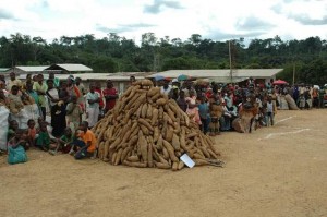 Le Cameroun alloue 3% de son budget à l’agriculture, en violation de la Déclaration de Maputo