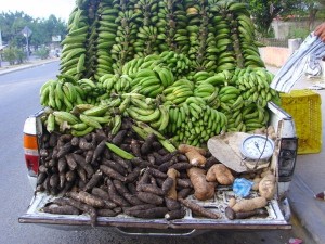 Cameroun : des foires agro-pastorales et des ventes promotionnelles pour éviter les spéculations de fin d’année
