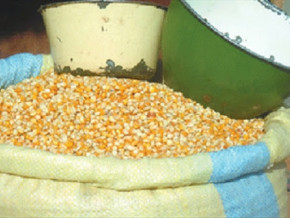 cereales-hausse-generalisee-des-prix-dans-l-extreme-nord-region-parmi-les-plus-pauvres-du-cameroun