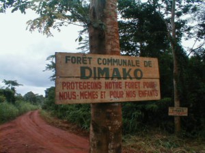 La GIZ partage avec des communes de la Cedeao, l’expérience camerounaise en matière de foresterie communale