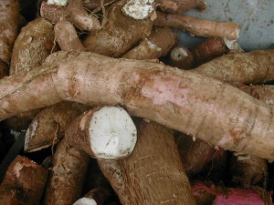 Cameroun : la faible structuration des coopératives agricoles freine le déploiement du PIDMA