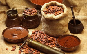 Cameroun : la SNV offre une unité de transformation de cacao aux producteurs d’Ayos