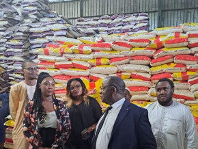 riz-le-cameroun-baisse-les-prix-apres-l-arrivee-d-une-partie-des-190-000-tonnes-negociees-avec-l-inde