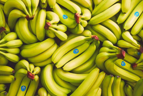 Bananes : les exportations du Cameroun chutent de 4,3% en 2023, malgré l’arrivée d’un 4e producteur sur le marché