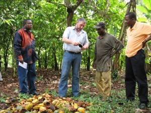 UTZ certifie les plantations de 400 producteurs de cacao au Cameroun