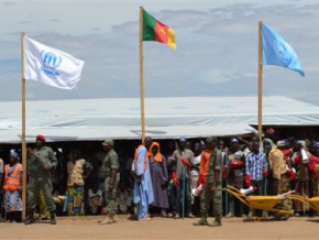 Le Cameroun et les Nations Unis recherchent 170 milliards FCfa pour gérer les réfugiés victimes des conflits