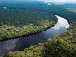 protection-de-la-biodiversite-pourquoi-le-bassin-du-congo-mobilise-25-fois-moins-de-financements-que-l-amazonie
